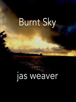 cover image of Burnt Sky